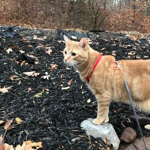 Meet your Posher, Matt